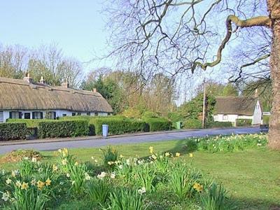 Childe Of Hale Cottage - 27896 외부 사진